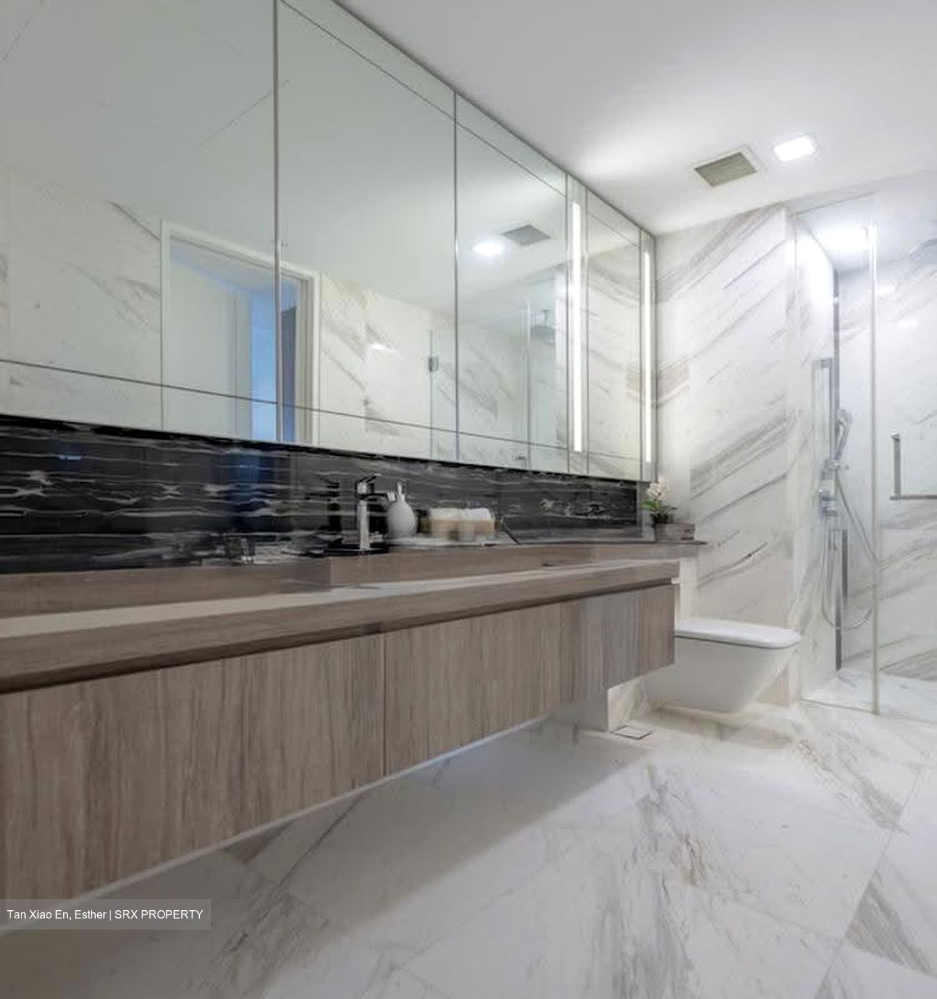 Wallich Residence  (D2), Condominium #629836391